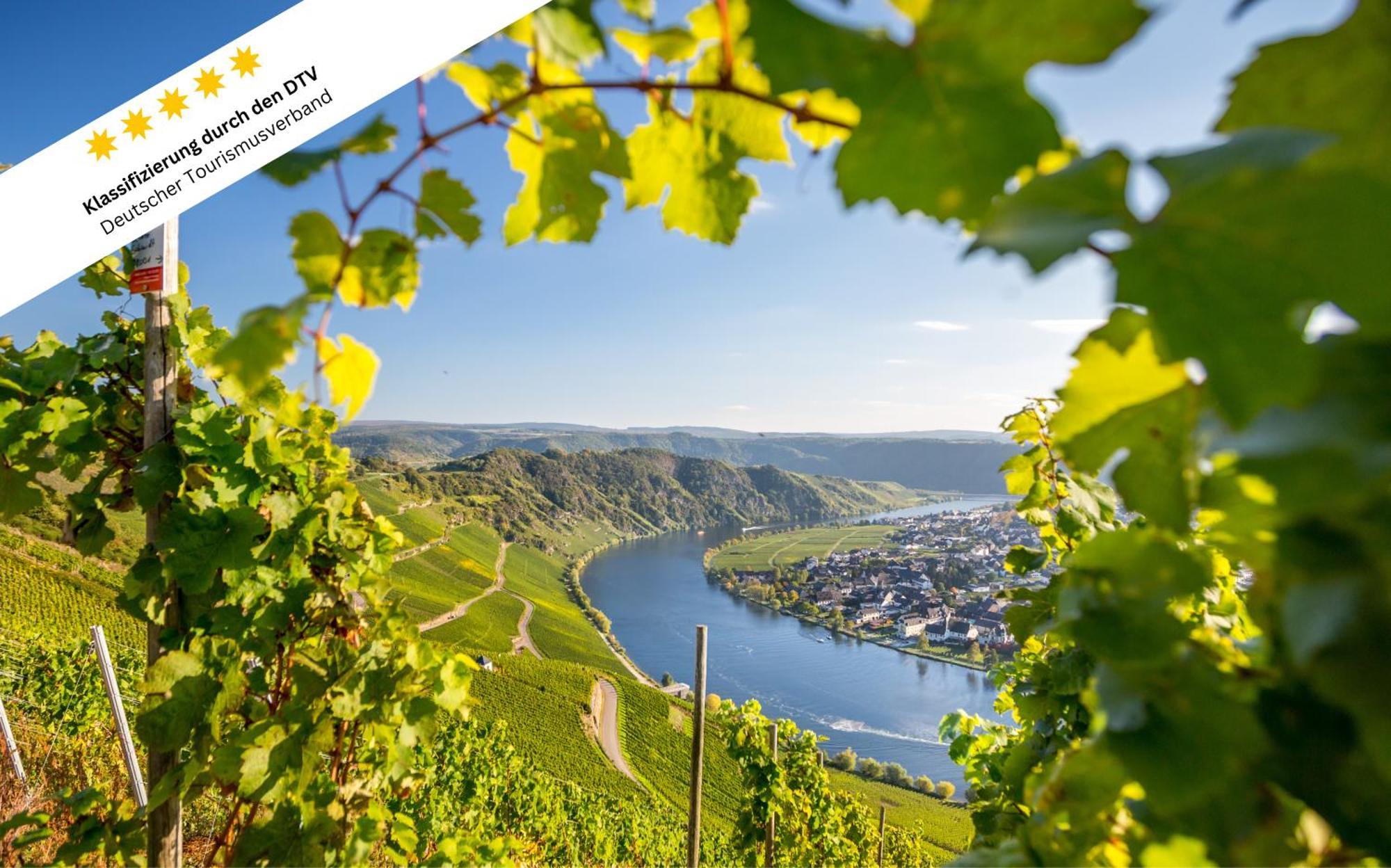 Апартаменти Wohlfuehloase An Der Mosel Osann-Monzel Екстер'єр фото